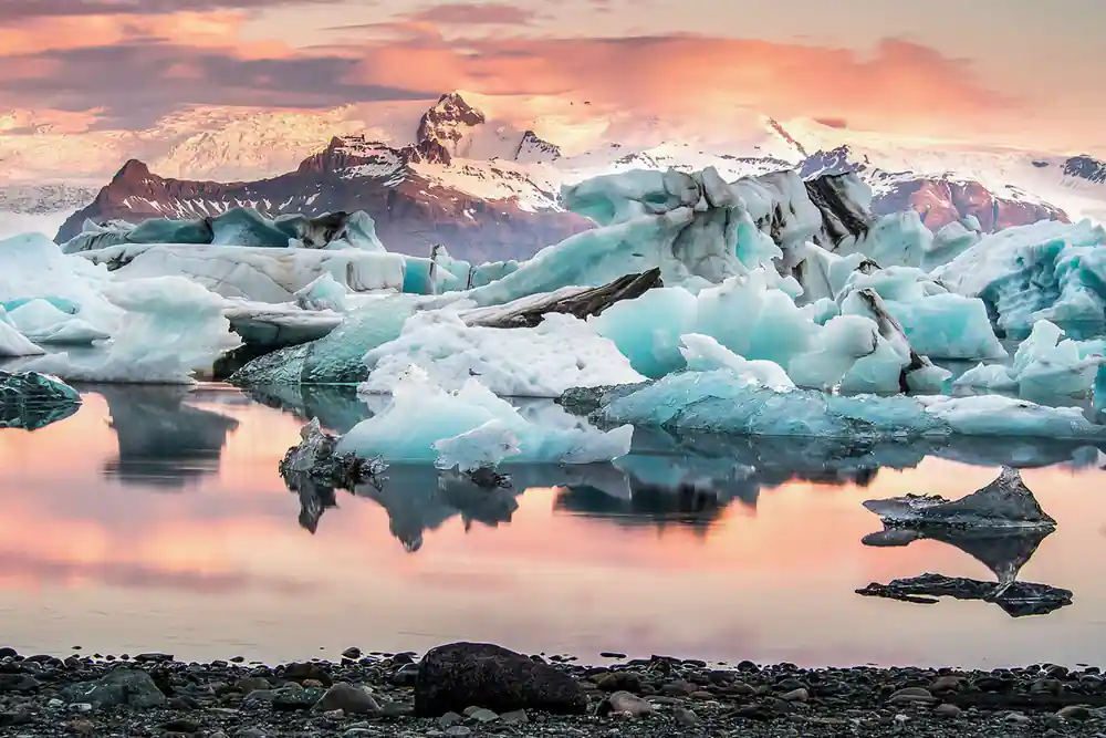 Blue and white icebergs in pink sunset water reflection