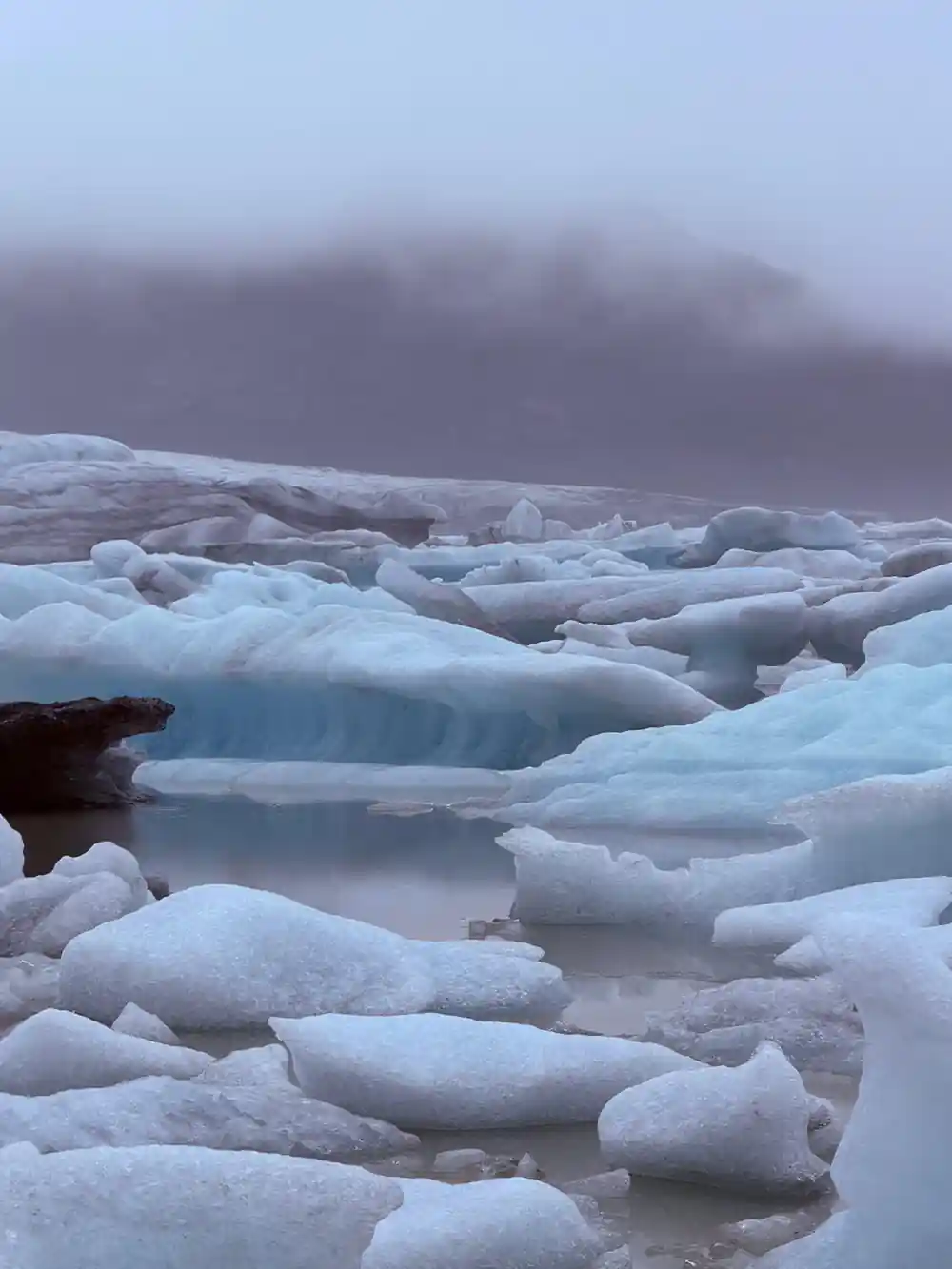 Foggy shore with jagged ice chunks in water