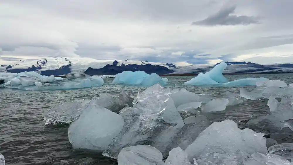 Ice chunks and icebergs on dark sand beach shore